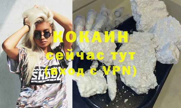 спиды Богородицк