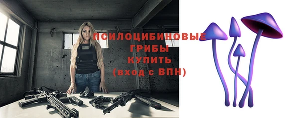 спиды Богородицк