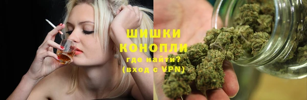 трава Богданович