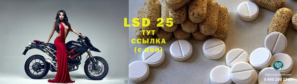 ECSTASY Богородск