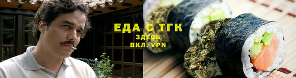 спиды Богородицк