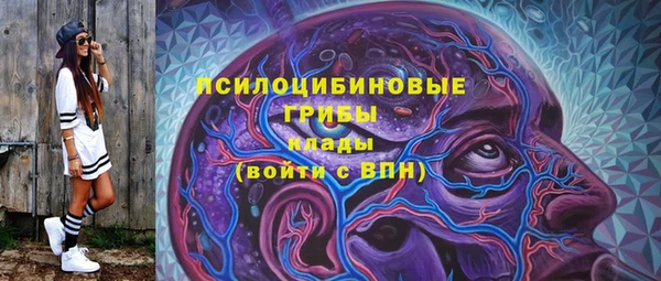 спиды Богородицк