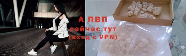 ECSTASY Богородск