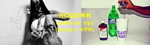спиды Богородицк