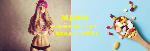спиды Богородицк