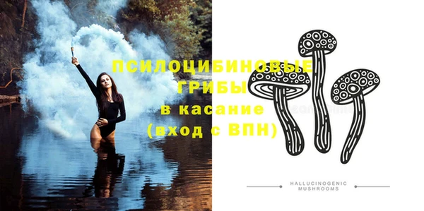 ECSTASY Богородск