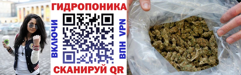 Конопля THC 21%  закладка  Котлас 